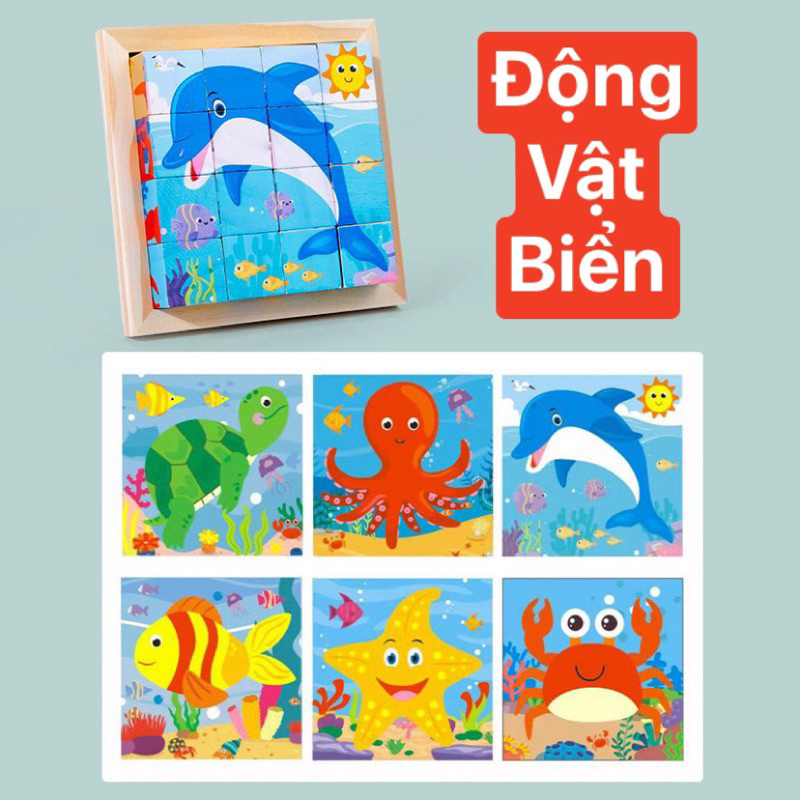vn-11134207-7qukw-lia0tim41g4279