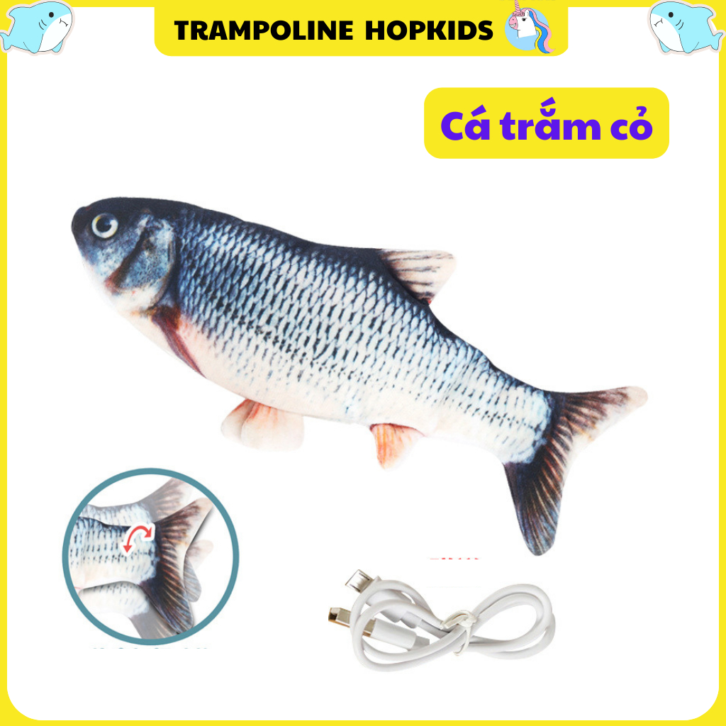 SKU-03-Cá trắm cỏ